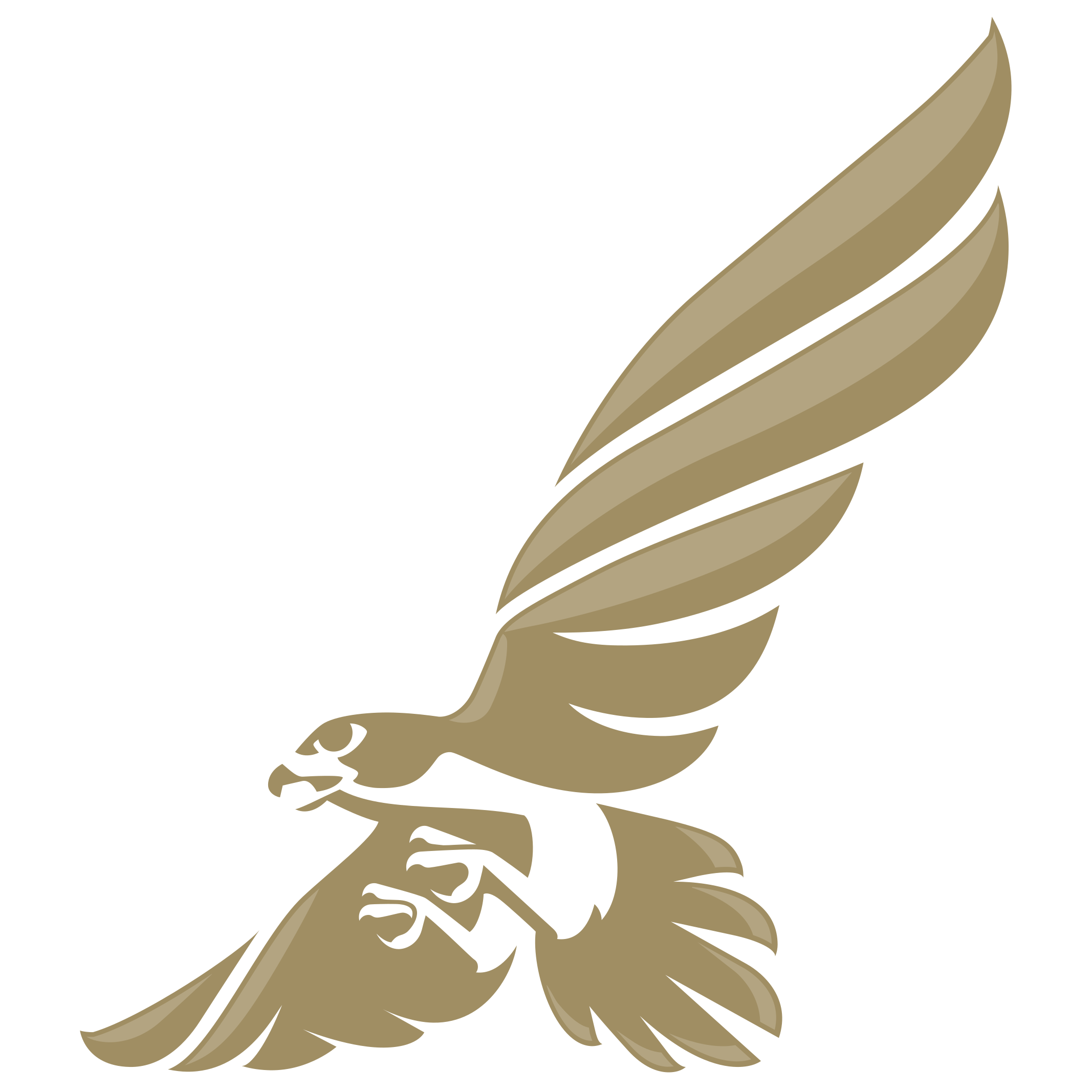 Gulf Air